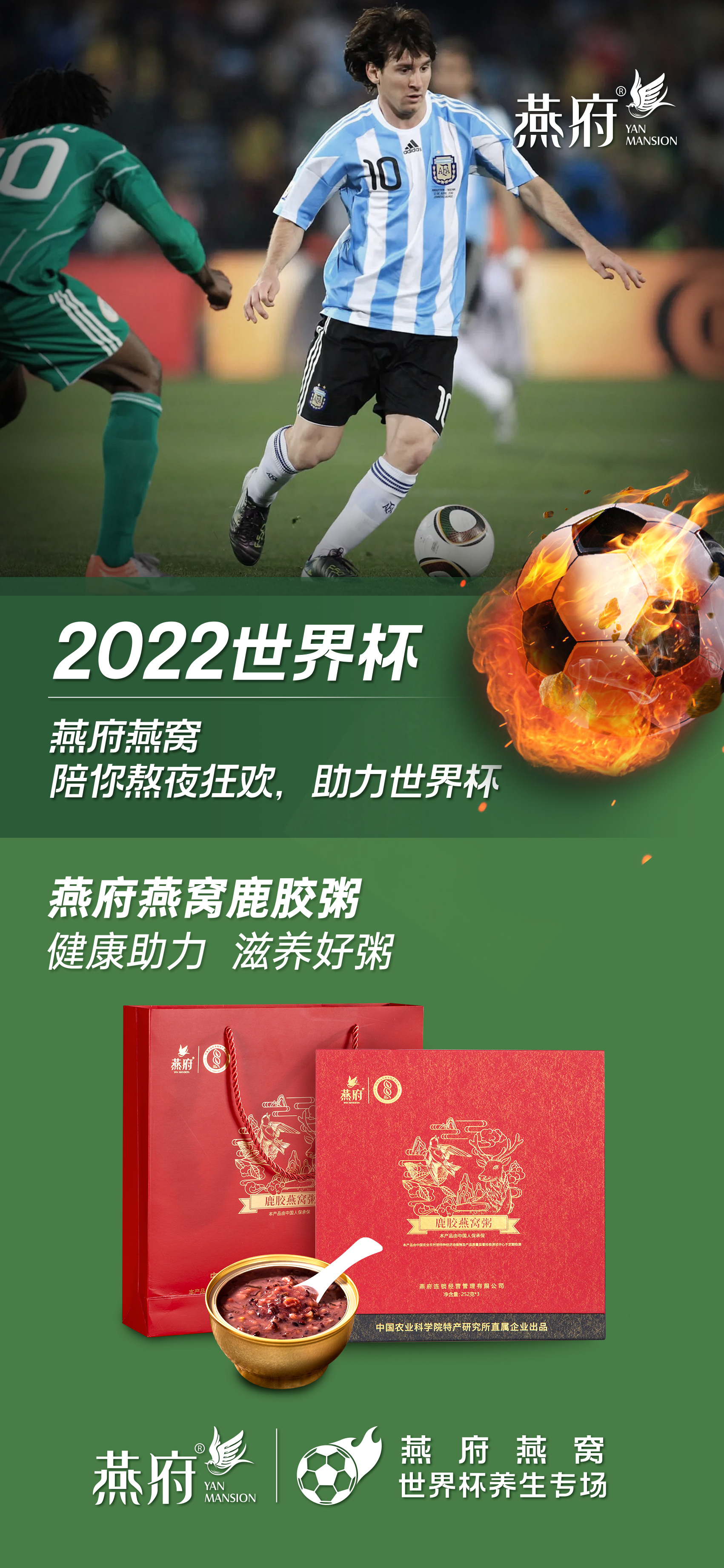 2022卡塔尔世界杯