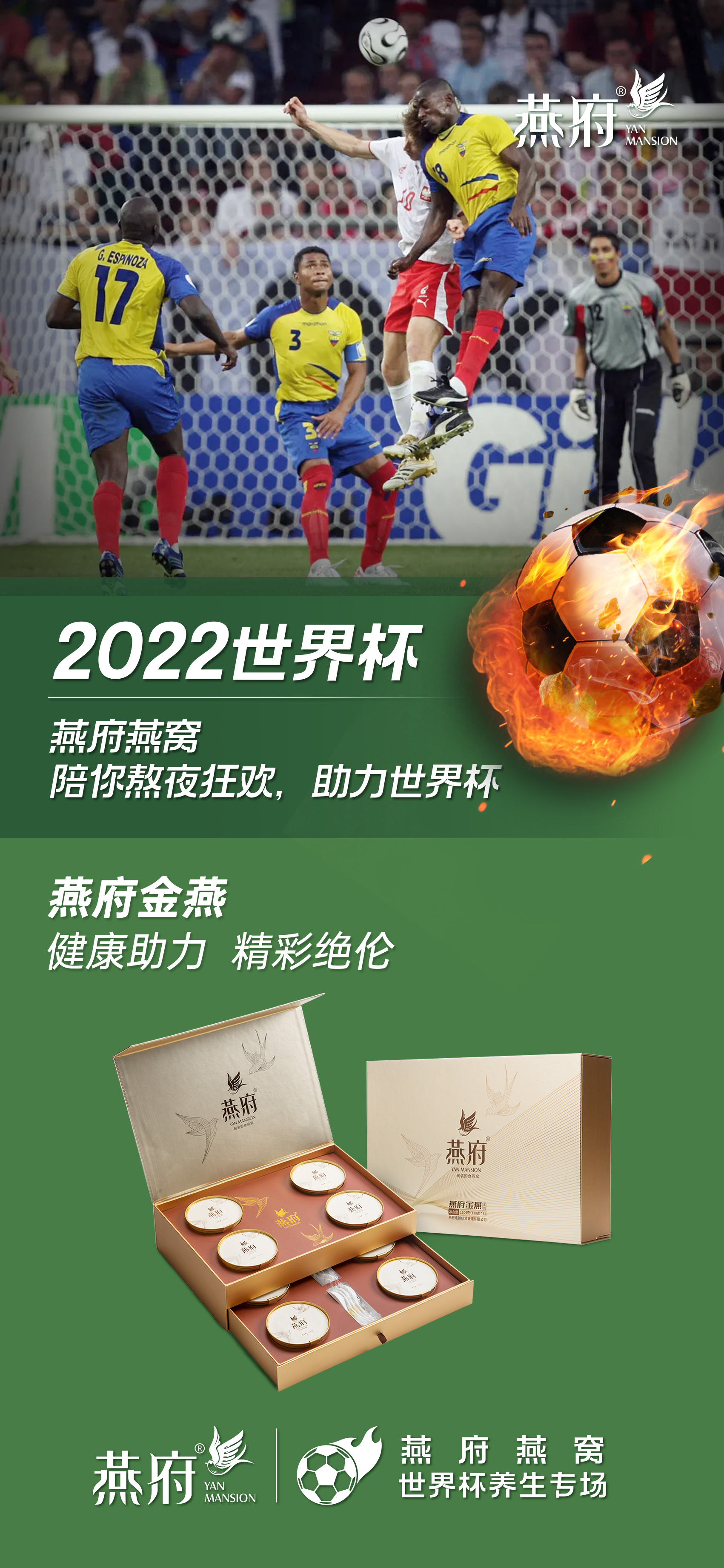 2022卡塔尔世界杯