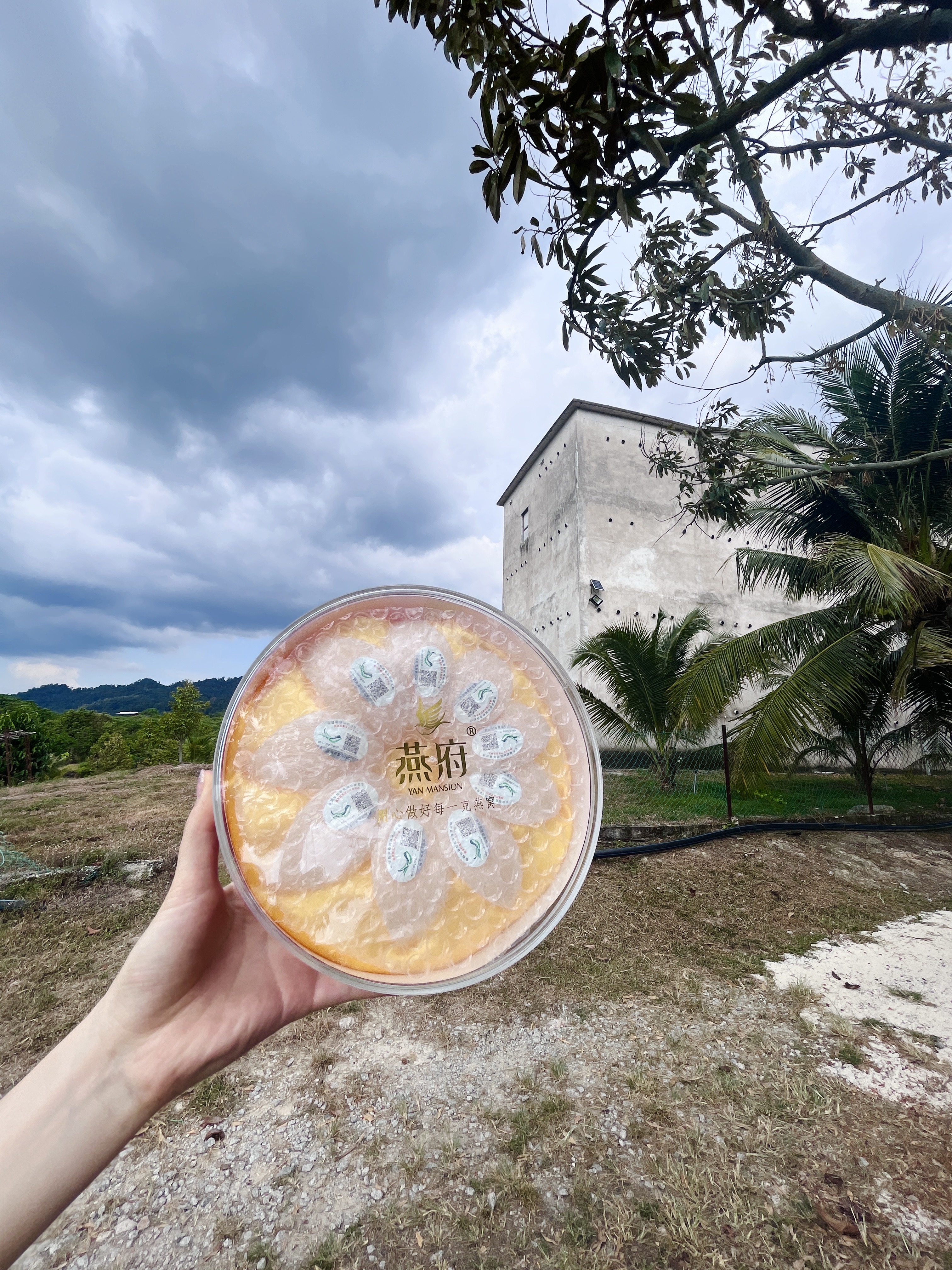 燕府丨2024马来寻燕之旅圆满落幕