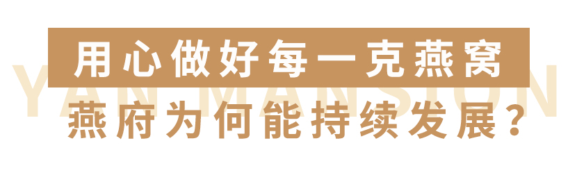 燕府燕窝丨因为有你 所以精彩