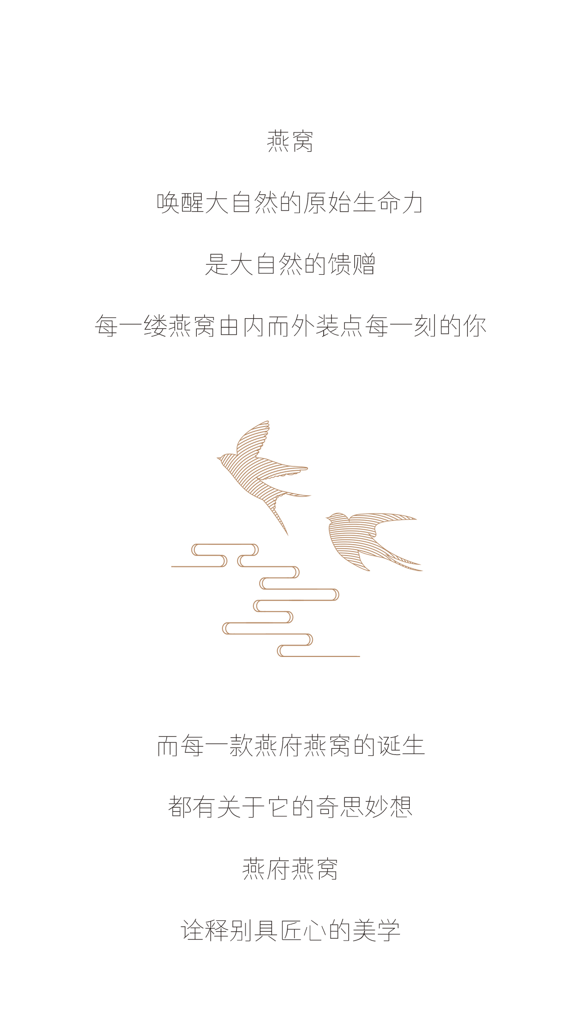遇见燕府燕窝 演绎别具匠心
