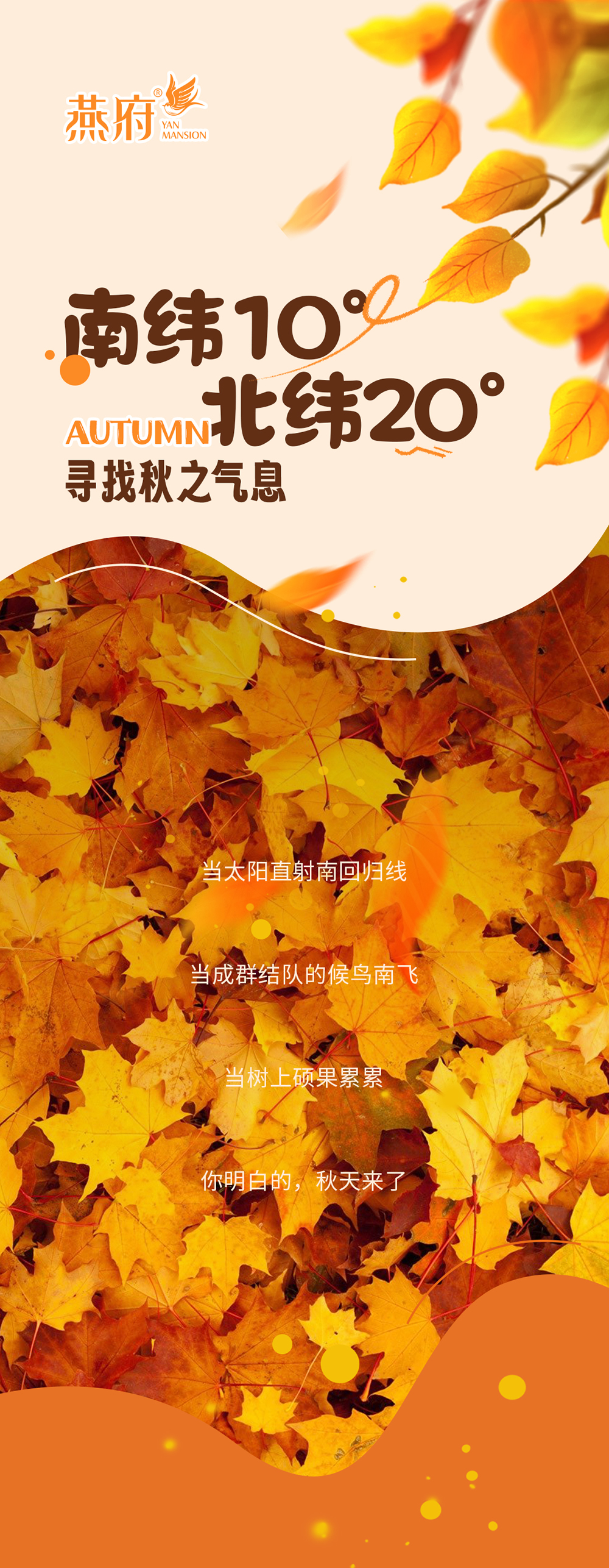 燕府丨南纬10°—北纬20°，寻找秋之气息