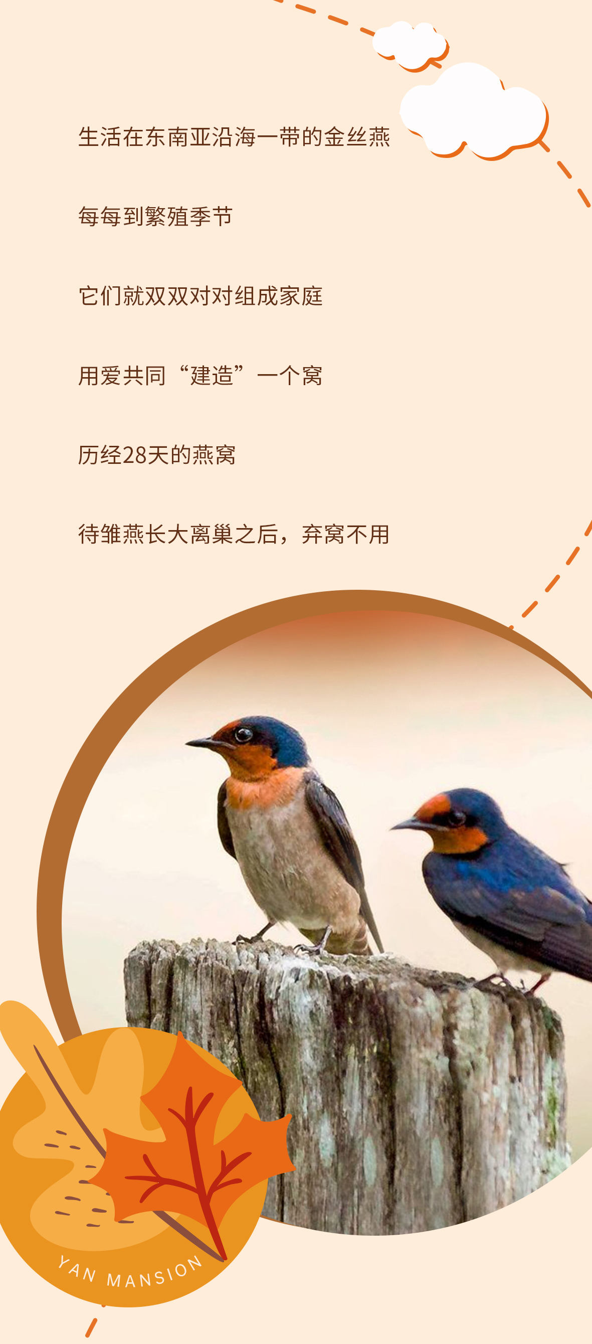 燕府丨南纬10°—北纬20°，寻找秋之气息